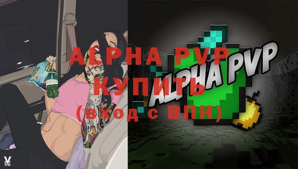 стаф Белокуриха