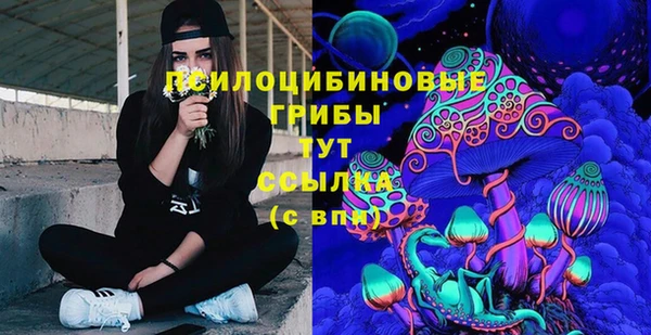 шишки Белоозёрский