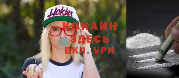 стаф Белокуриха