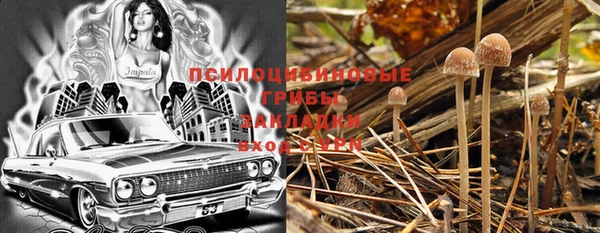 шишки Белоозёрский
