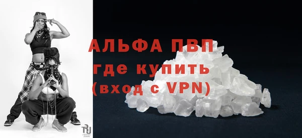 шишки Белоозёрский