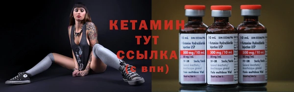 шишки Белоозёрский