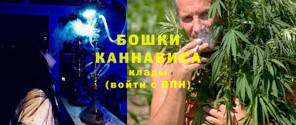 шишки Белоозёрский