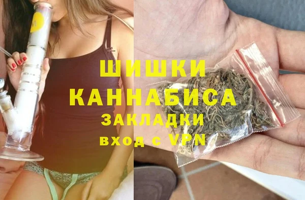 шишки Белоозёрский
