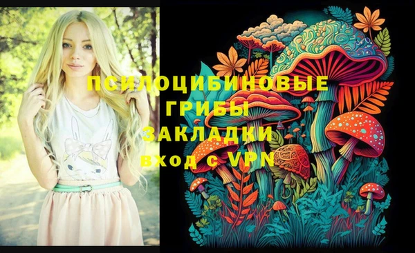 мяу мяу мука Беломорск