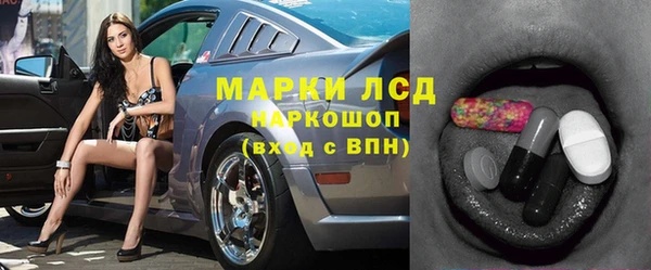 стаф Белокуриха