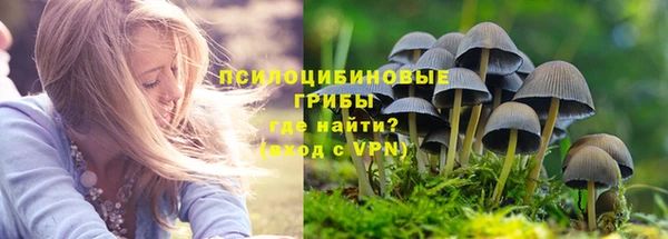 мяу мяу мука Беломорск