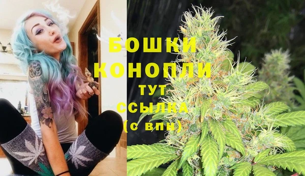 мяу мяу мука Беломорск